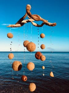 52D8778C-F606-4751-A4C8-02BCEE828823